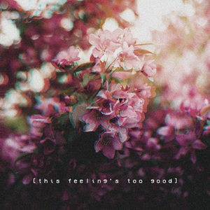 菲律宾黄色录像
