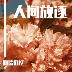 菲律宾黄色录像
